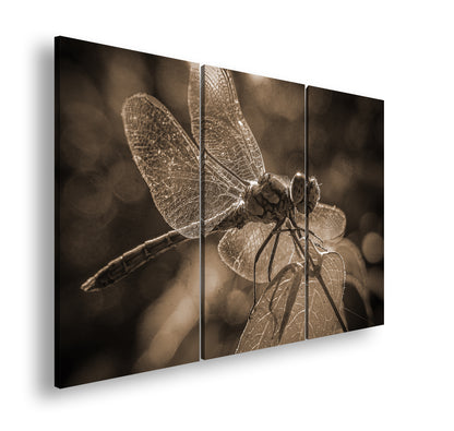 Hauptbild Sepia 3 Teilig