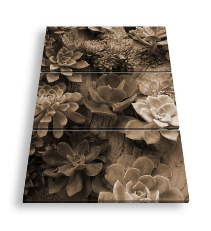 Hauptbild Sepia 3 Teilig