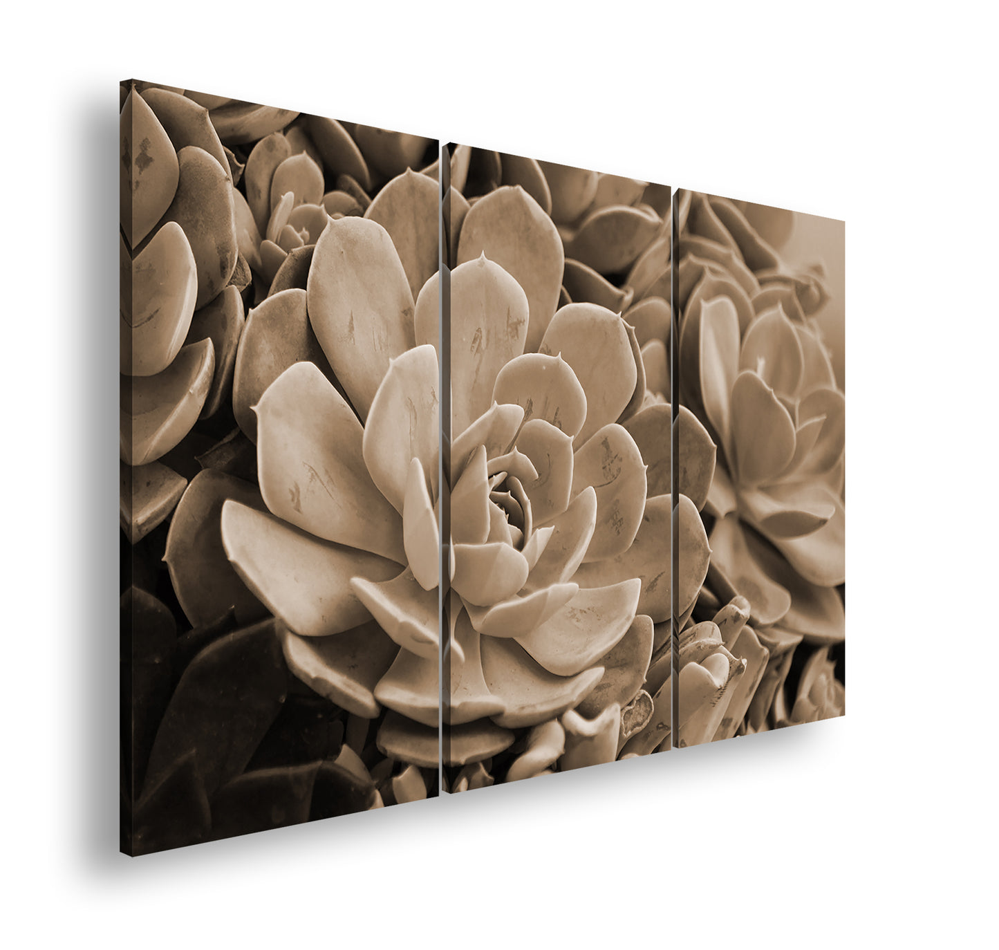 Hauptbild Sepia 3 Teilig