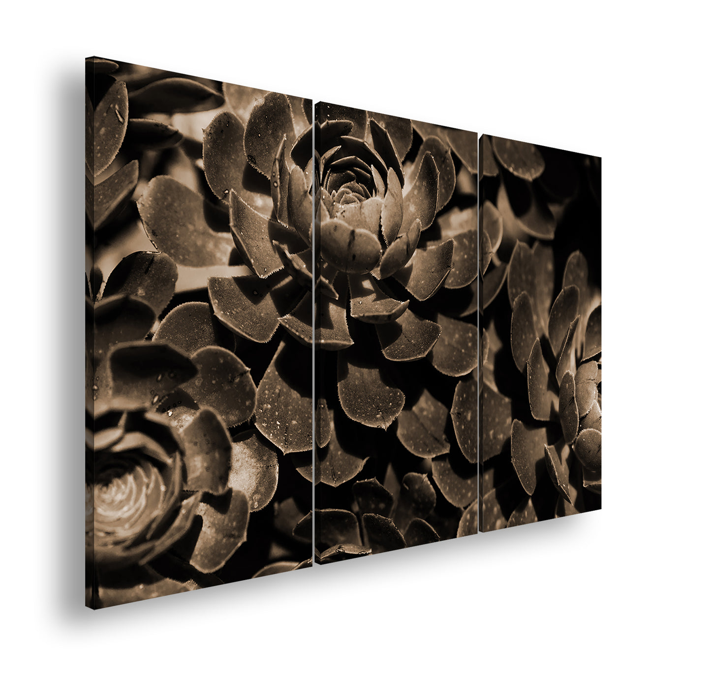 Hauptbild Sepia 3 Teilig