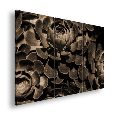 Hauptbild Sepia 3 Teilig