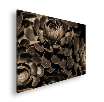 Hauptbild Sepia Standart