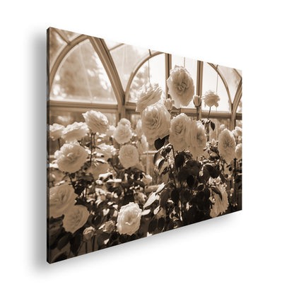 Hauptbild Sepia Standart