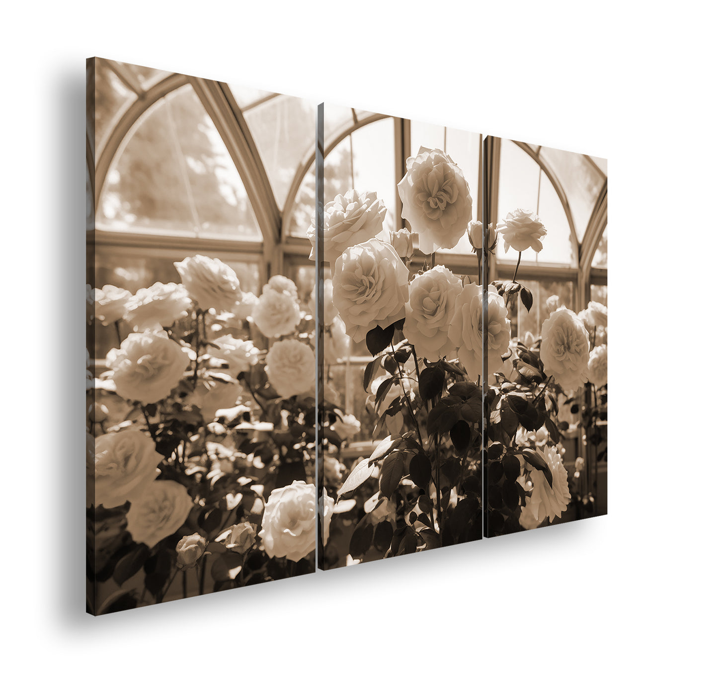 Hauptbild Sepia 3 Teilig