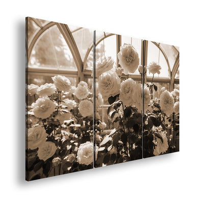 Hauptbild Sepia 3 Teilig