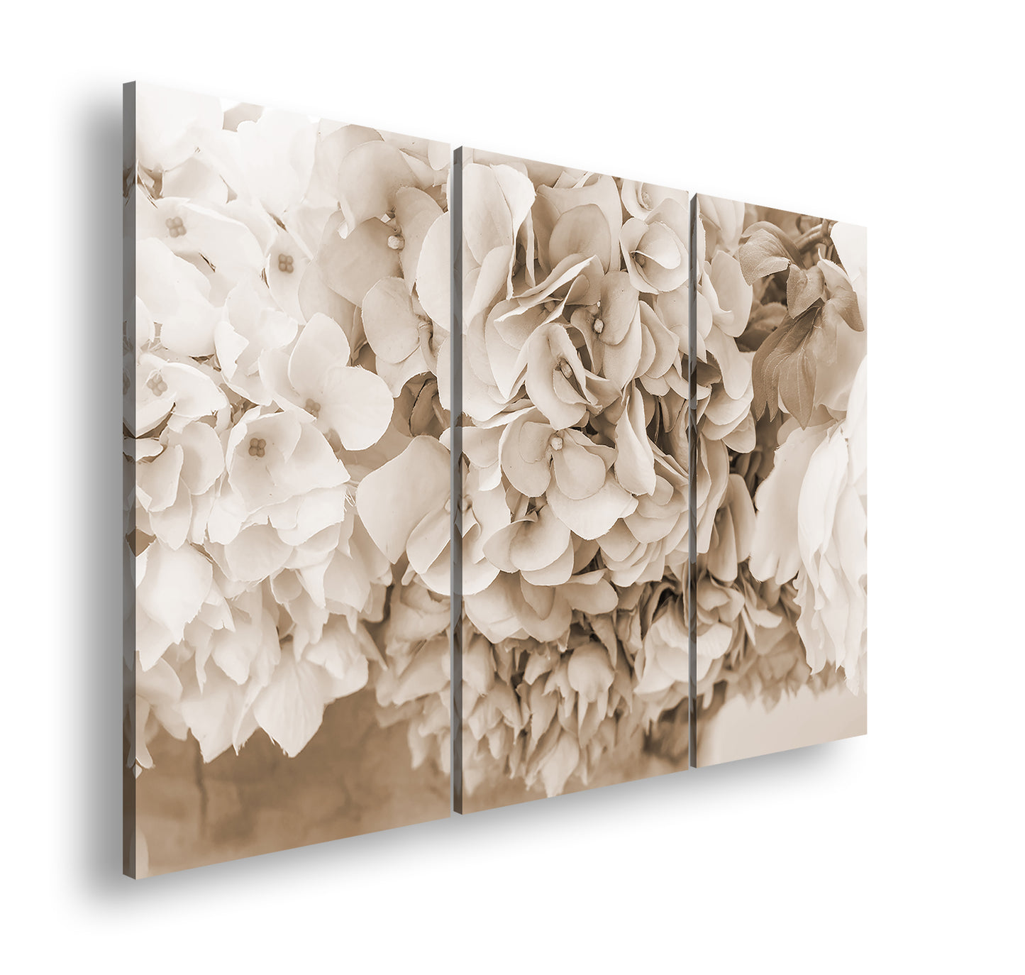 Hauptbild Sepia 3 Teilig