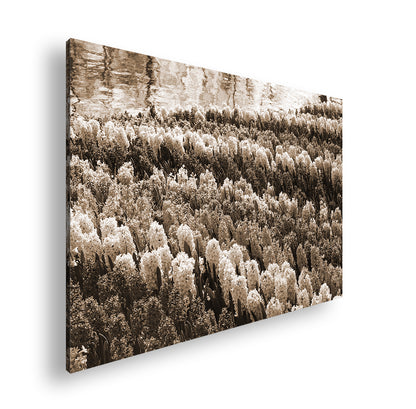 Hauptbild Sepia Standart