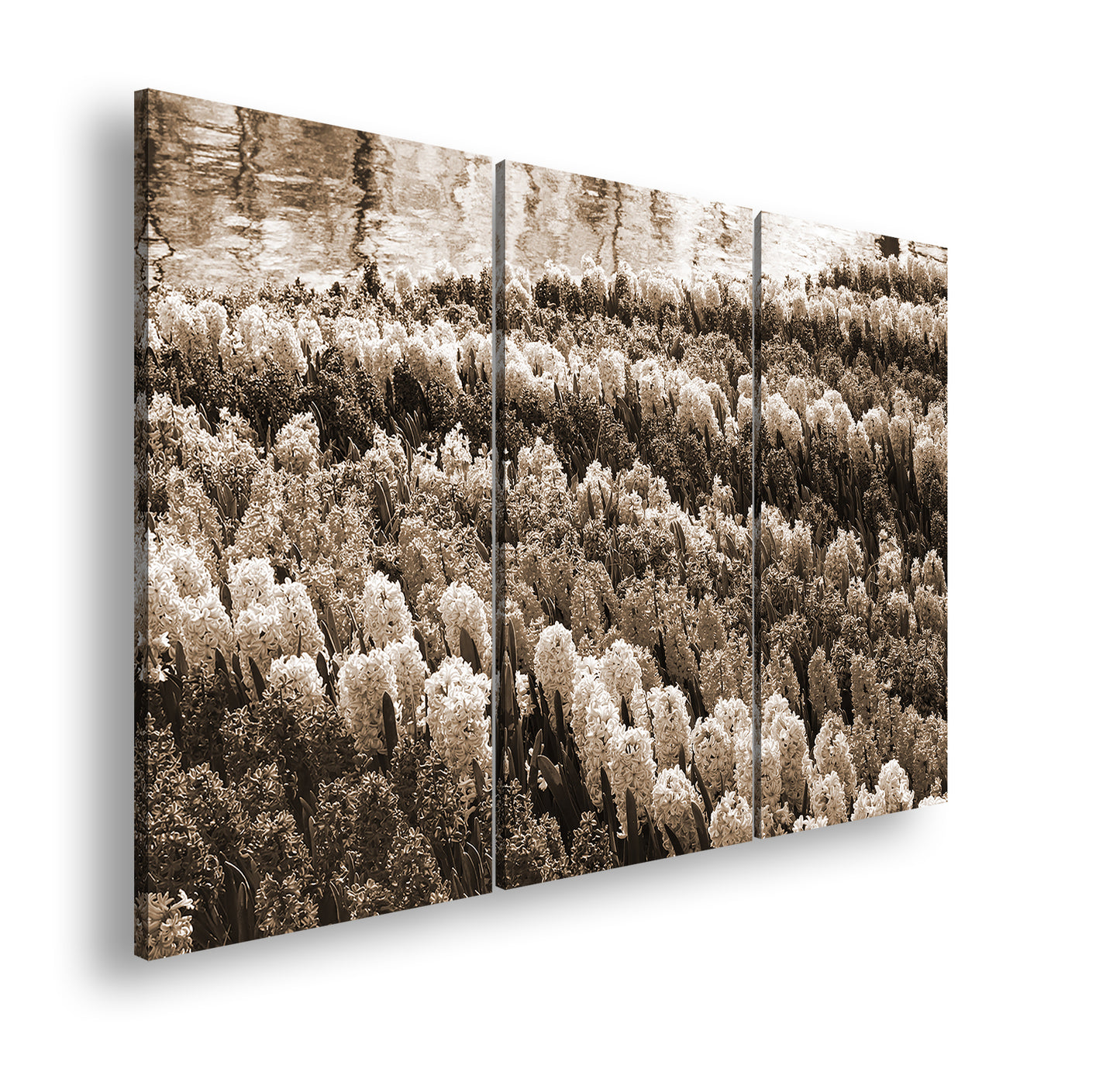 Hauptbild Sepia 3 Teilig