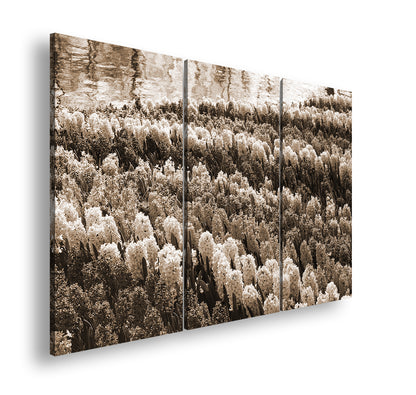 Hauptbild Sepia 3 Teilig