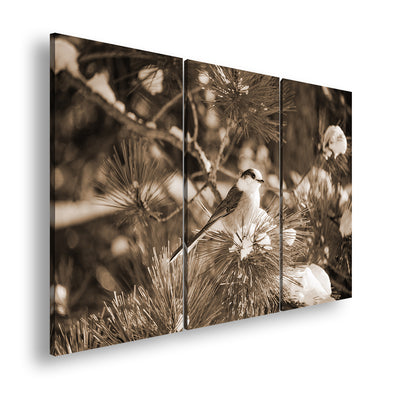 Hauptbild Sepia 3 Teilig