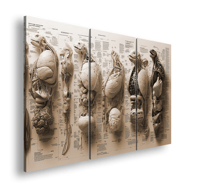 Hauptbild Sepia 3 Teilig