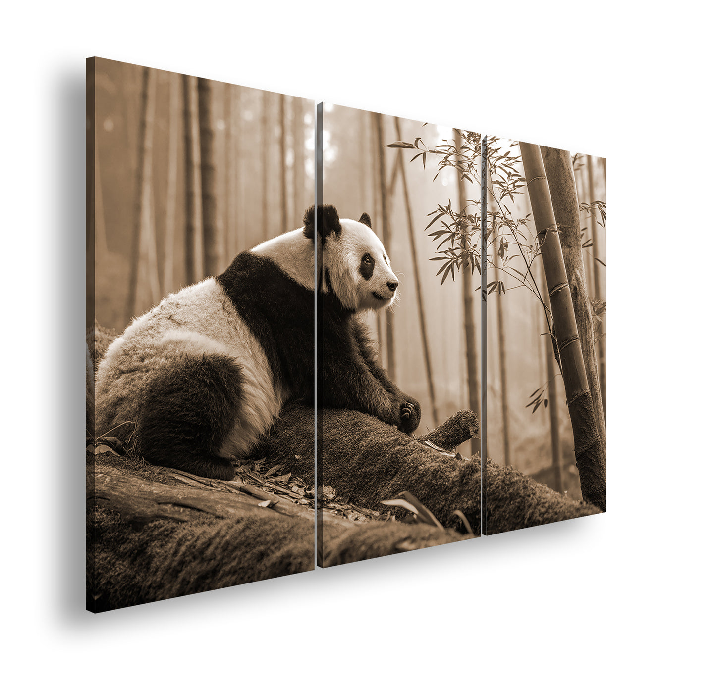 Hauptbild Sepia 3 Teilig