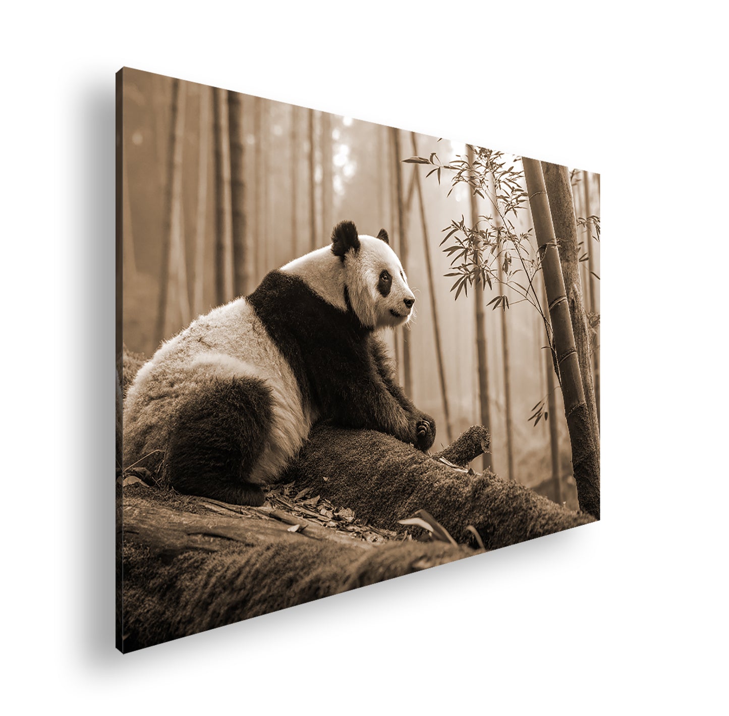 Hauptbild Sepia Standart