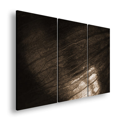 Hauptbild Sepia 3 Teilig