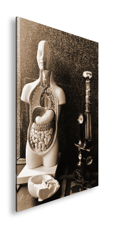 Hauptbild Sepia Standart