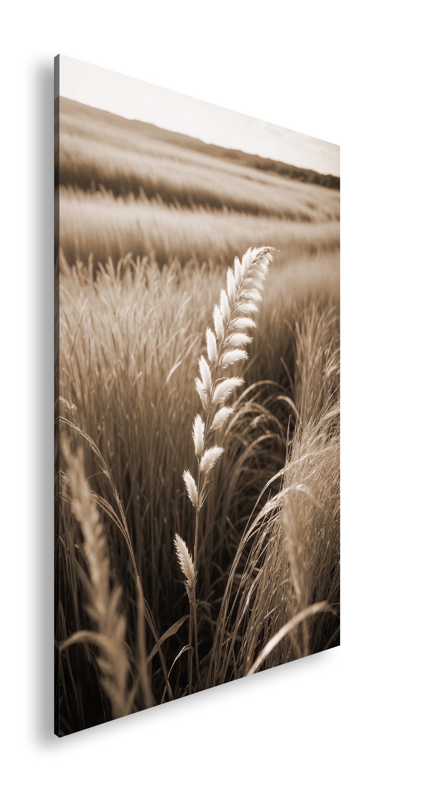 Hauptbild Sepia Standart