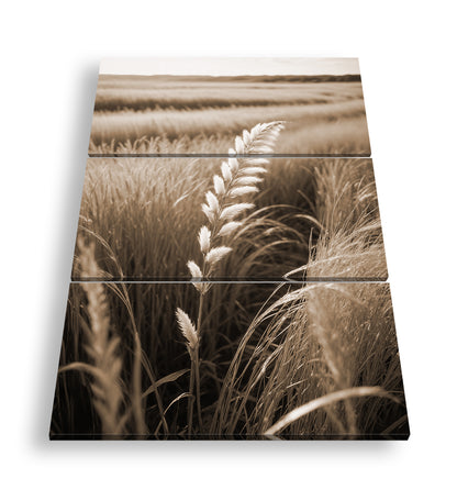 Hauptbild Sepia 3 Teilig