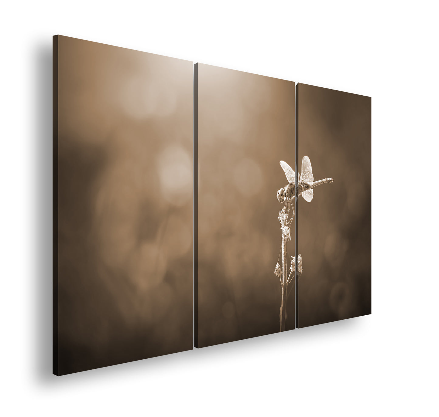 Hauptbild Sepia 3 Teilig
