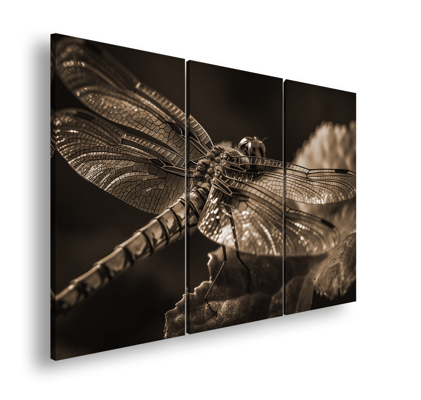 Hauptbild Sepia 3 Teilig