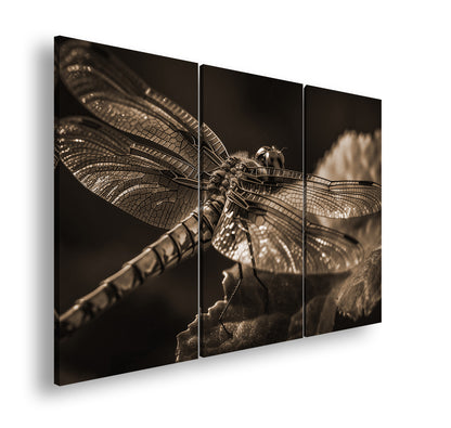 Hauptbild Sepia 3 Teilig