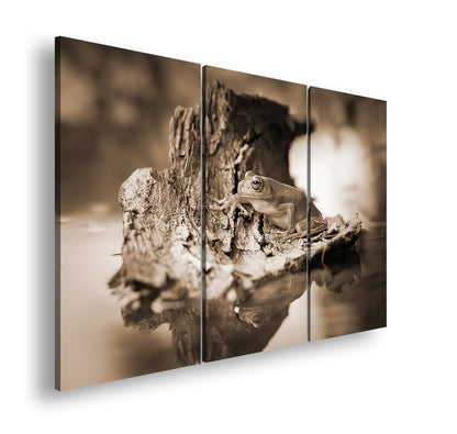 Hauptbild Sepia 3 Teilig