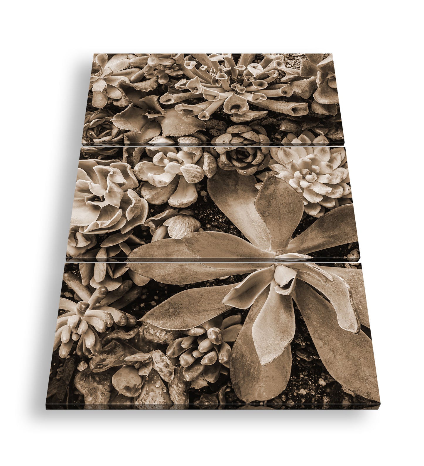 Hauptbild Sepia 3 Teilig