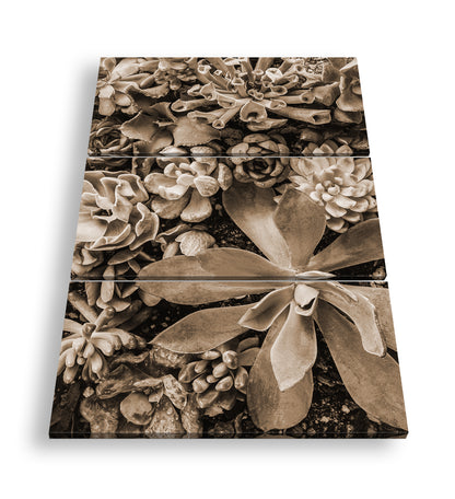 Hauptbild Sepia 3 Teilig