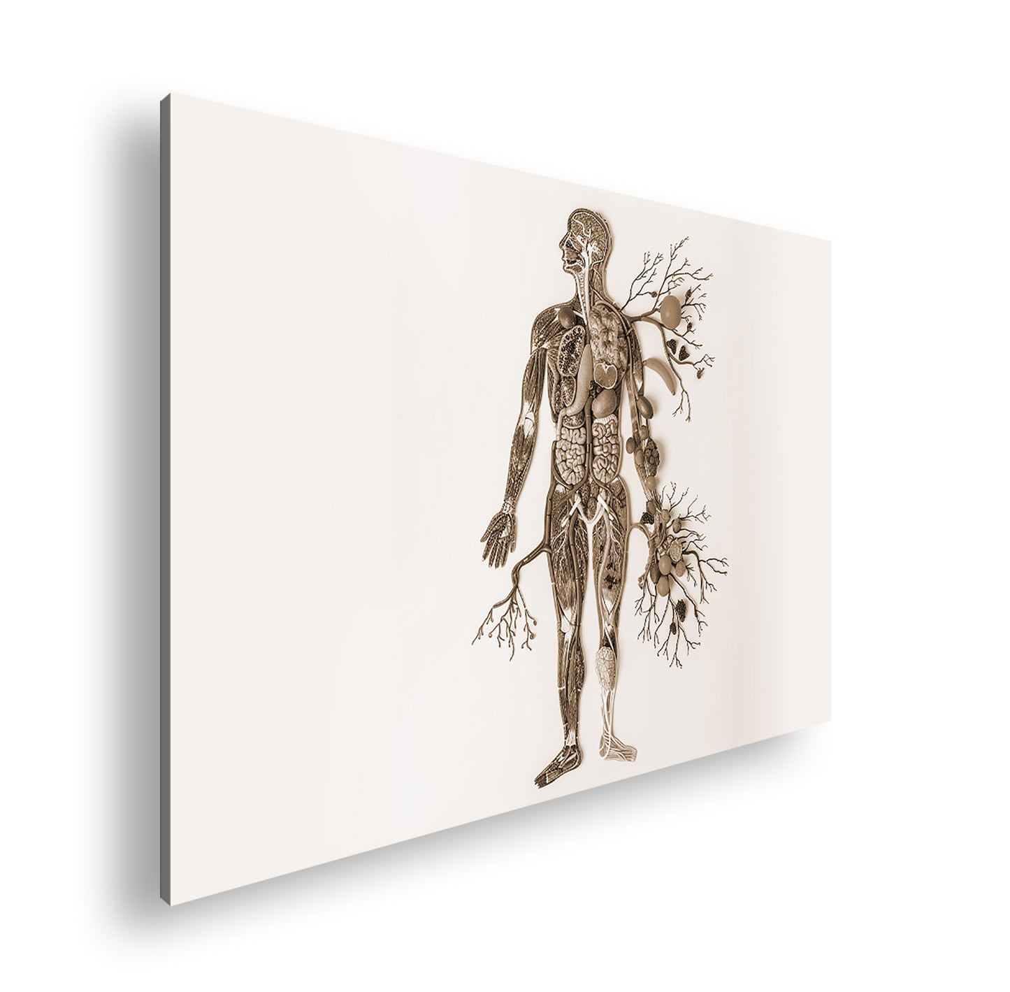 Hauptbild Sepia Standart