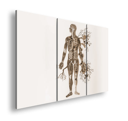 Hauptbild Sepia 3 Teilig