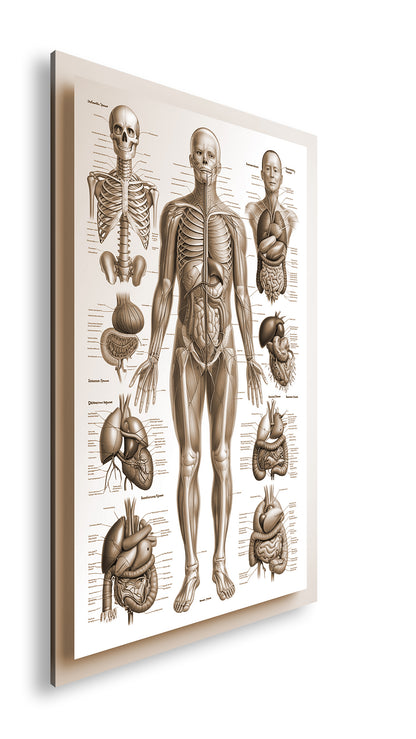 Hauptbild Sepia Standart