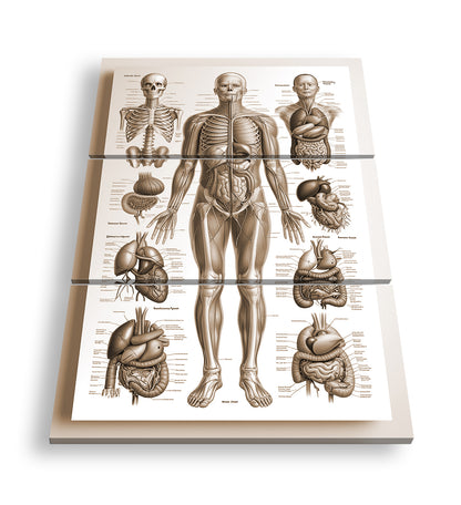 Hauptbild Sepia 3 Teilig