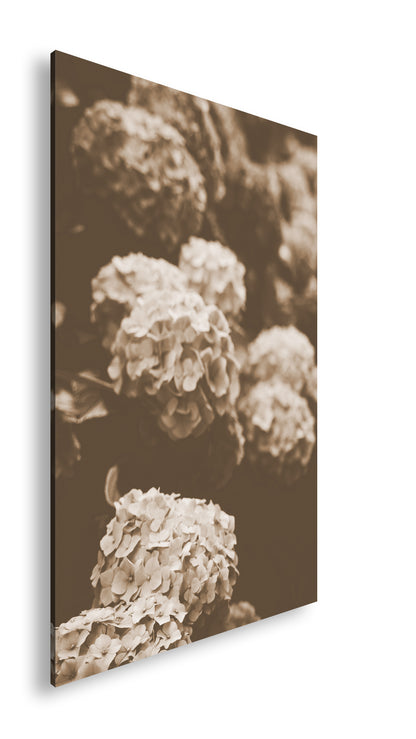 Hauptbild Sepia Standart