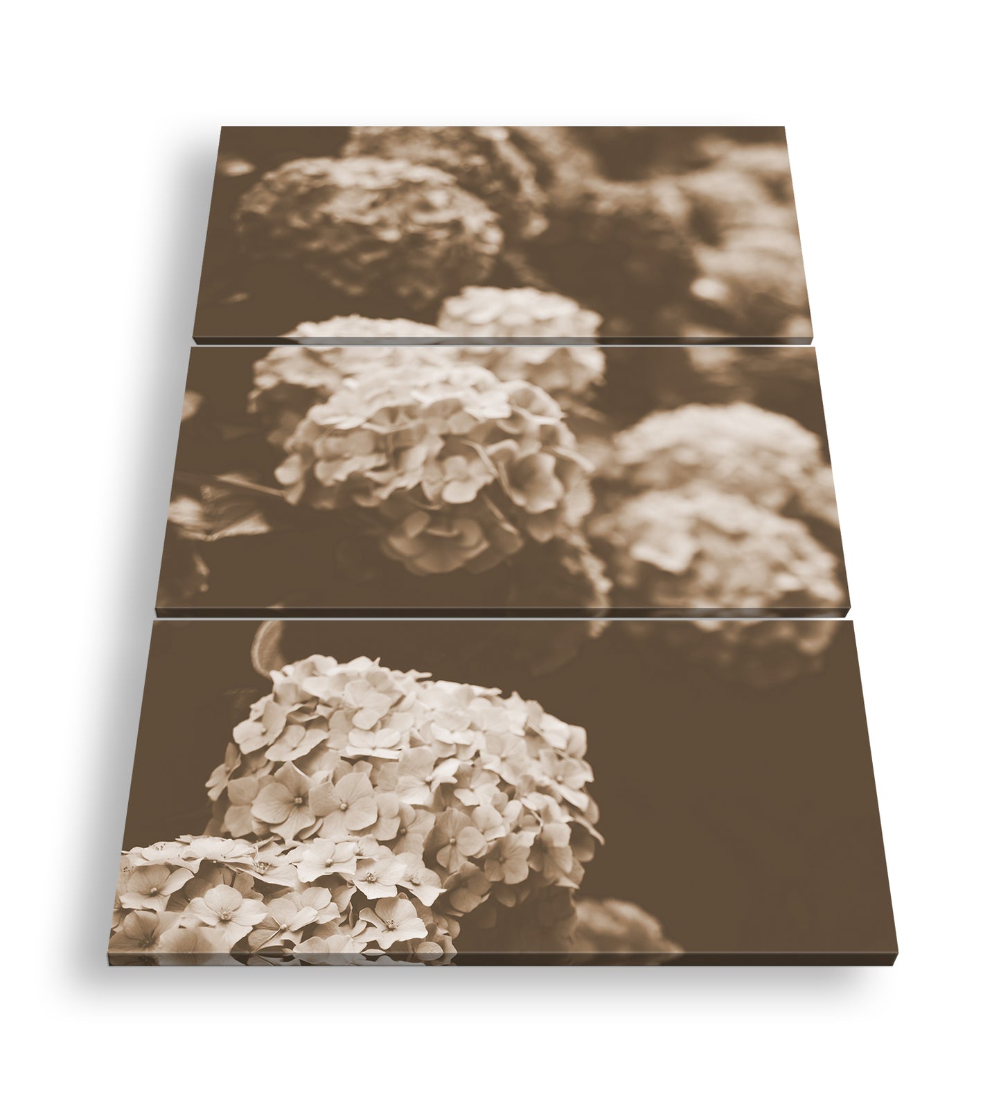 Hauptbild Sepia 3 Teilig