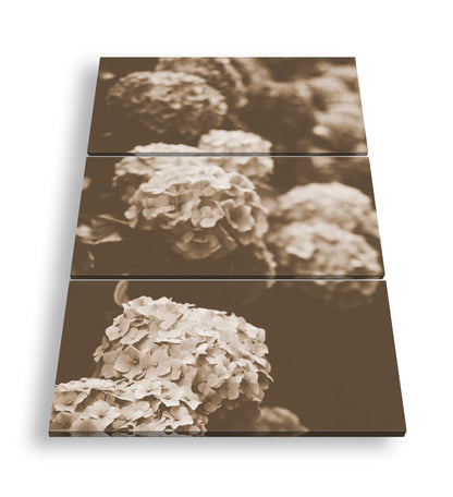 Hauptbild Sepia 3 Teilig