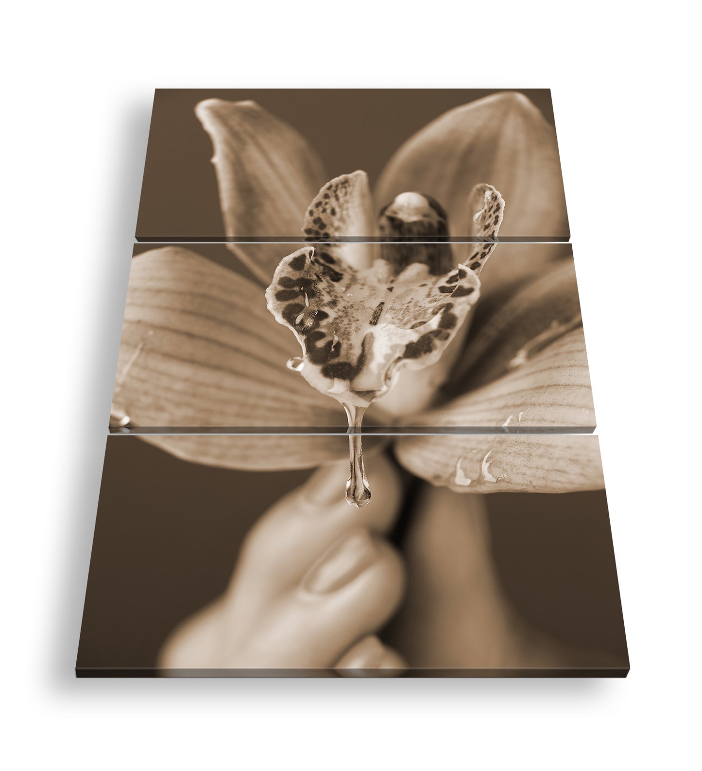 Hauptbild Sepia 3 Teilig