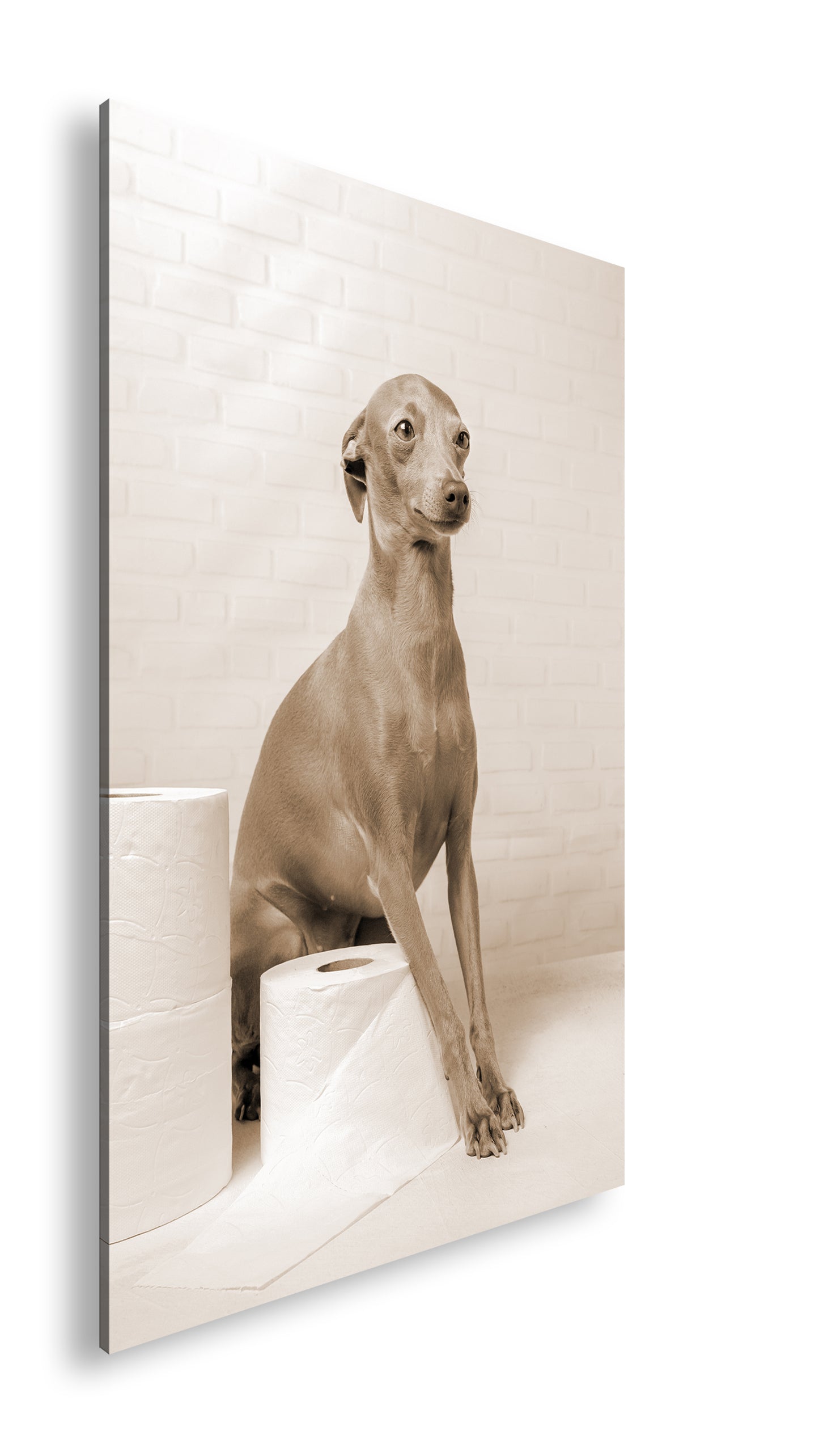 Hauptbild Sepia Standart