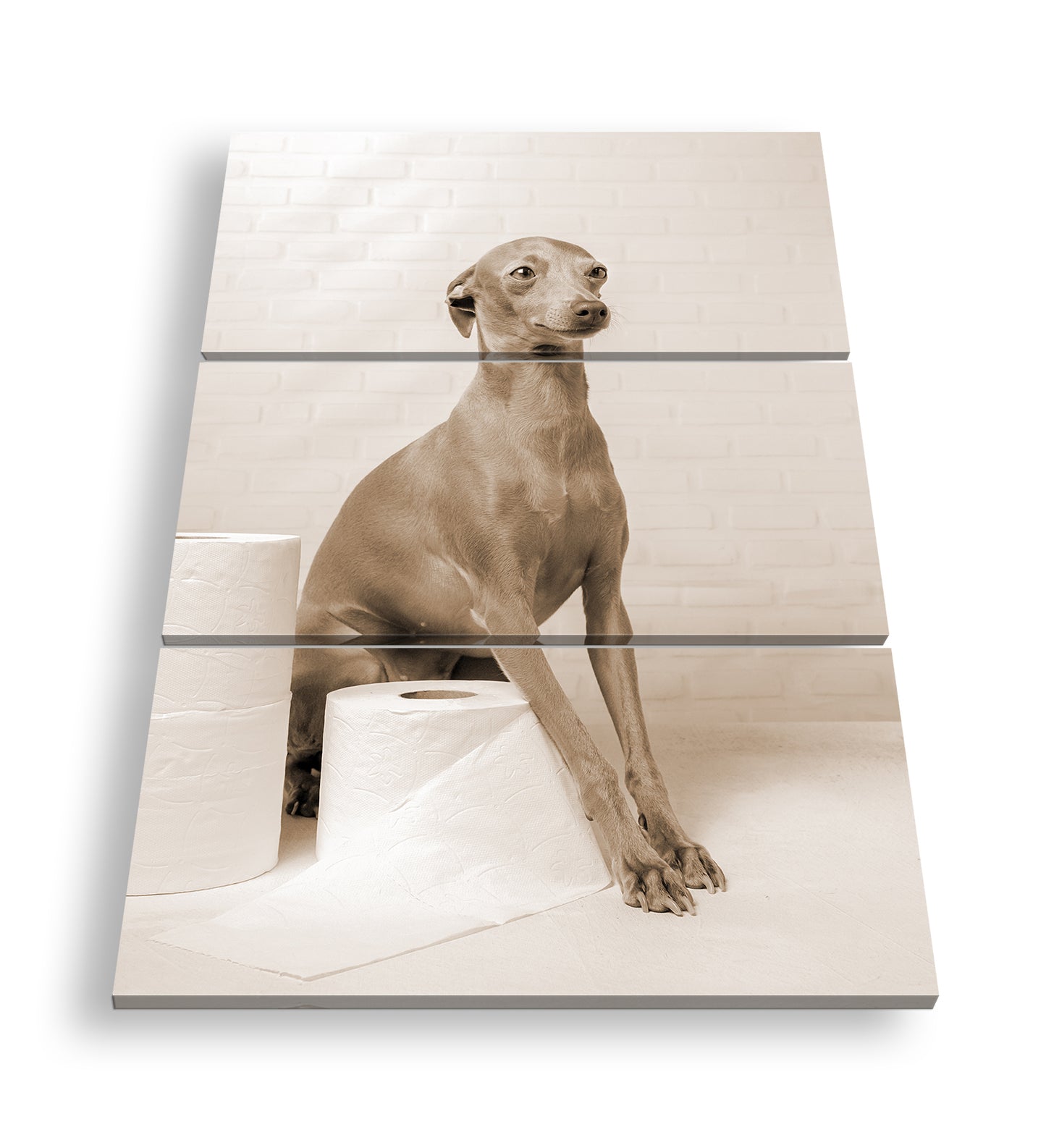 Hauptbild Sepia 3 Teilig