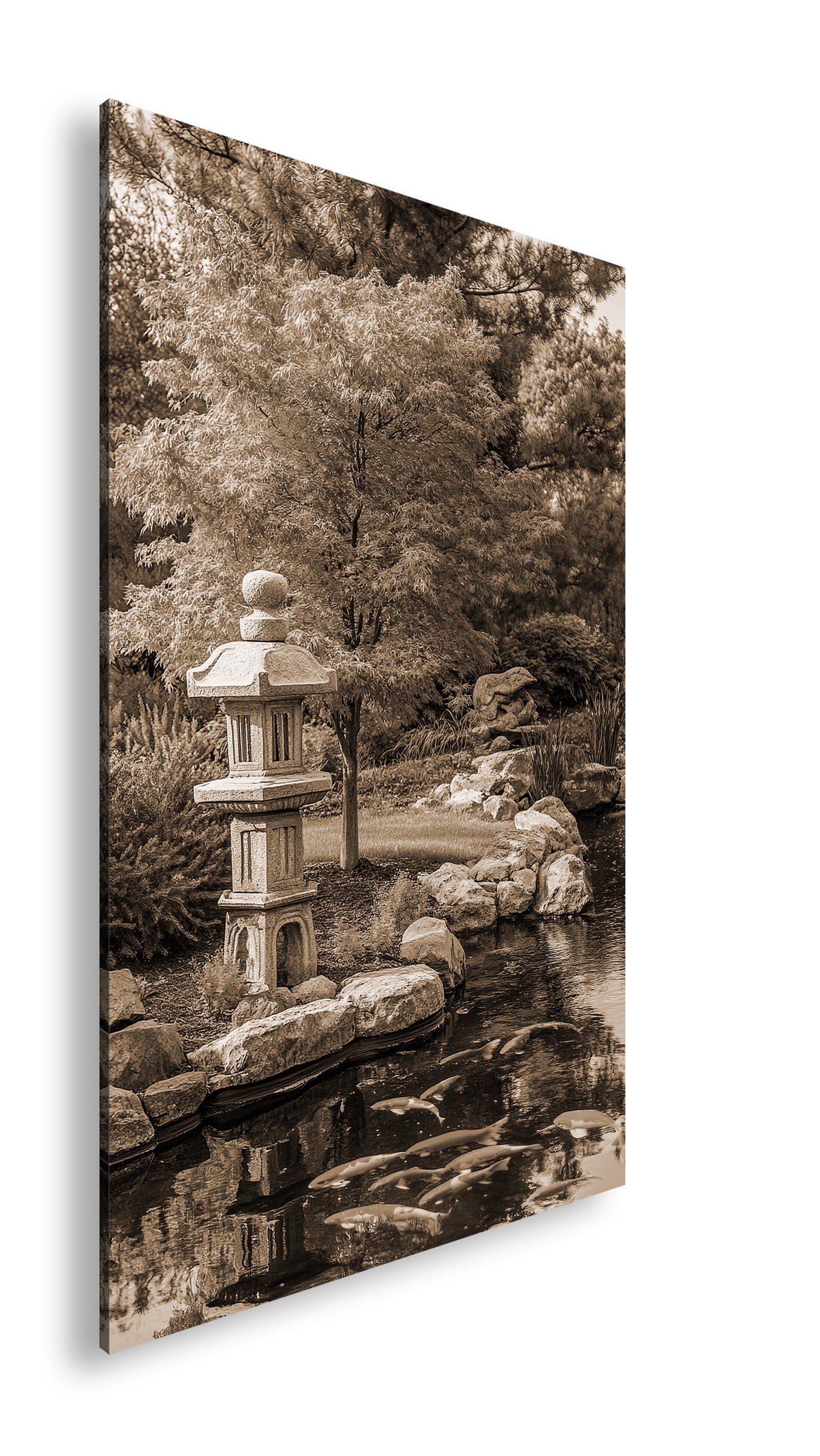 Hauptbild Sepia Standart