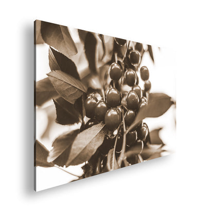 Hauptbild Sepia Standart