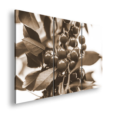 Hauptbild Sepia 3 Teilig