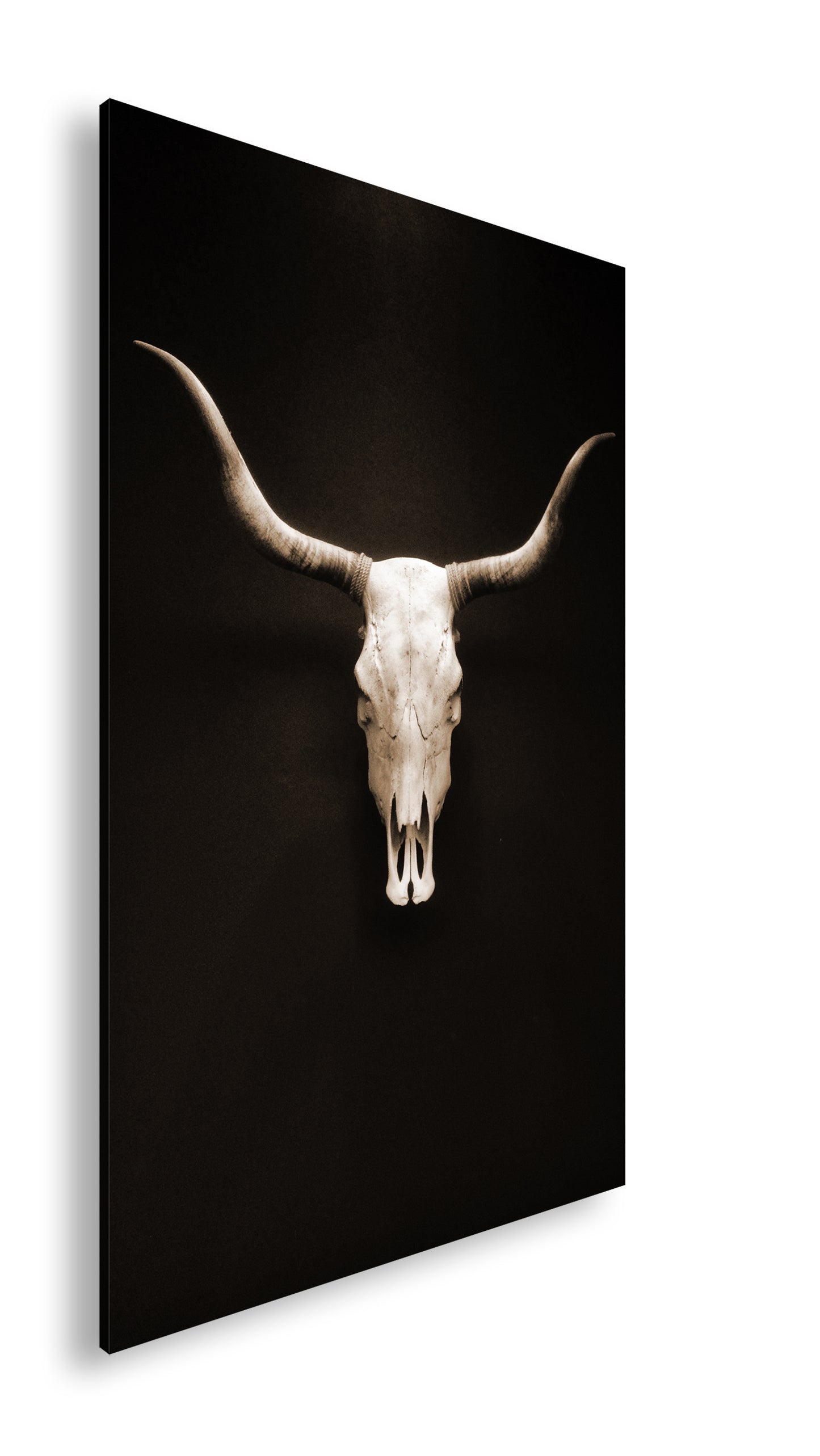 Hauptbild Sepia Standart