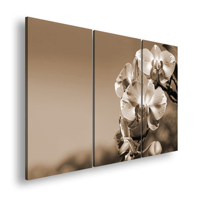 Hauptbild Sepia 3 Teilig