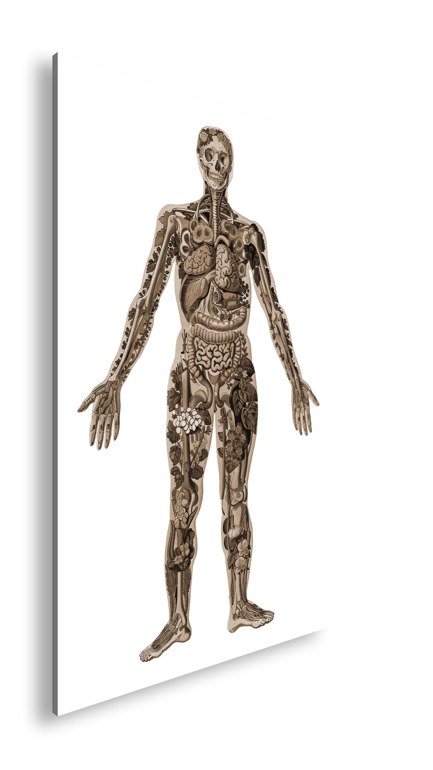 Hauptbild Sepia Standart