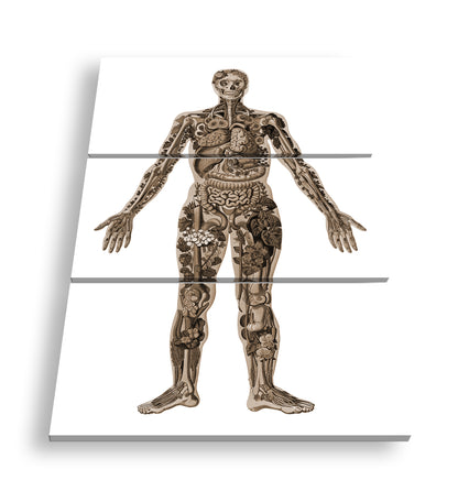 Hauptbild Sepia 3 Teilig