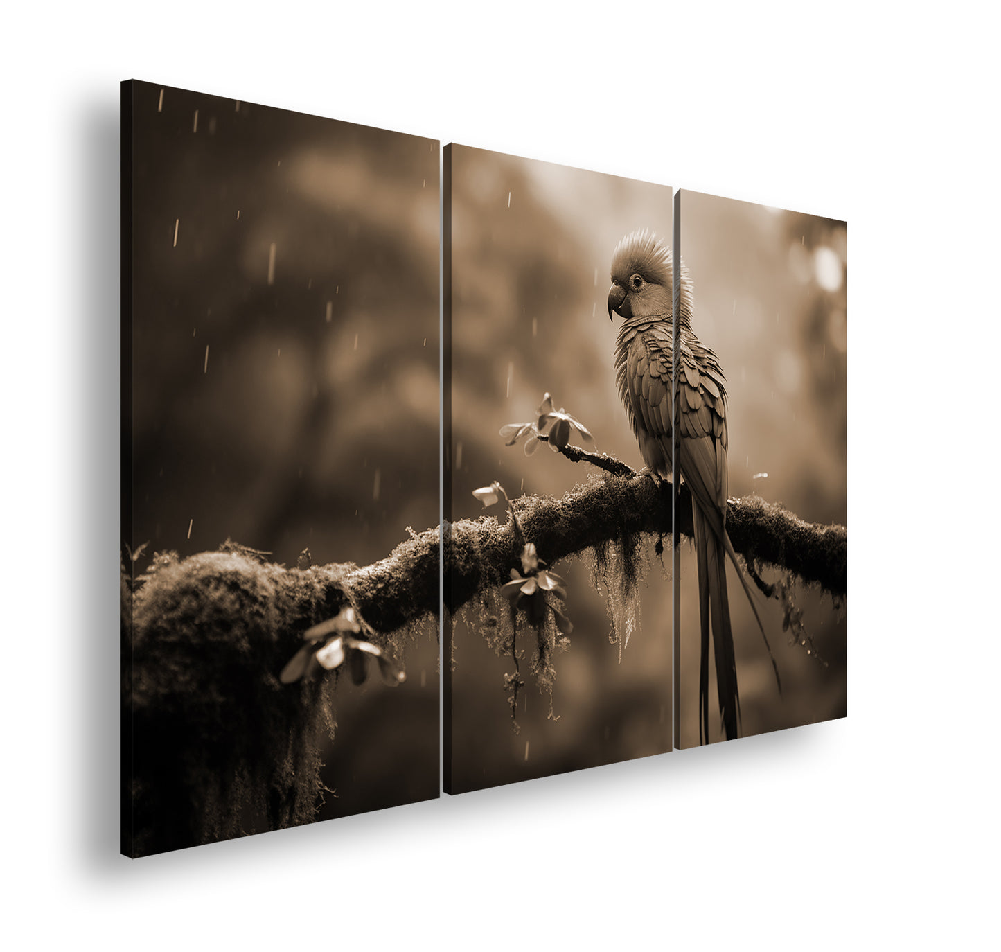 Hauptbild Sepia 3 Teilig