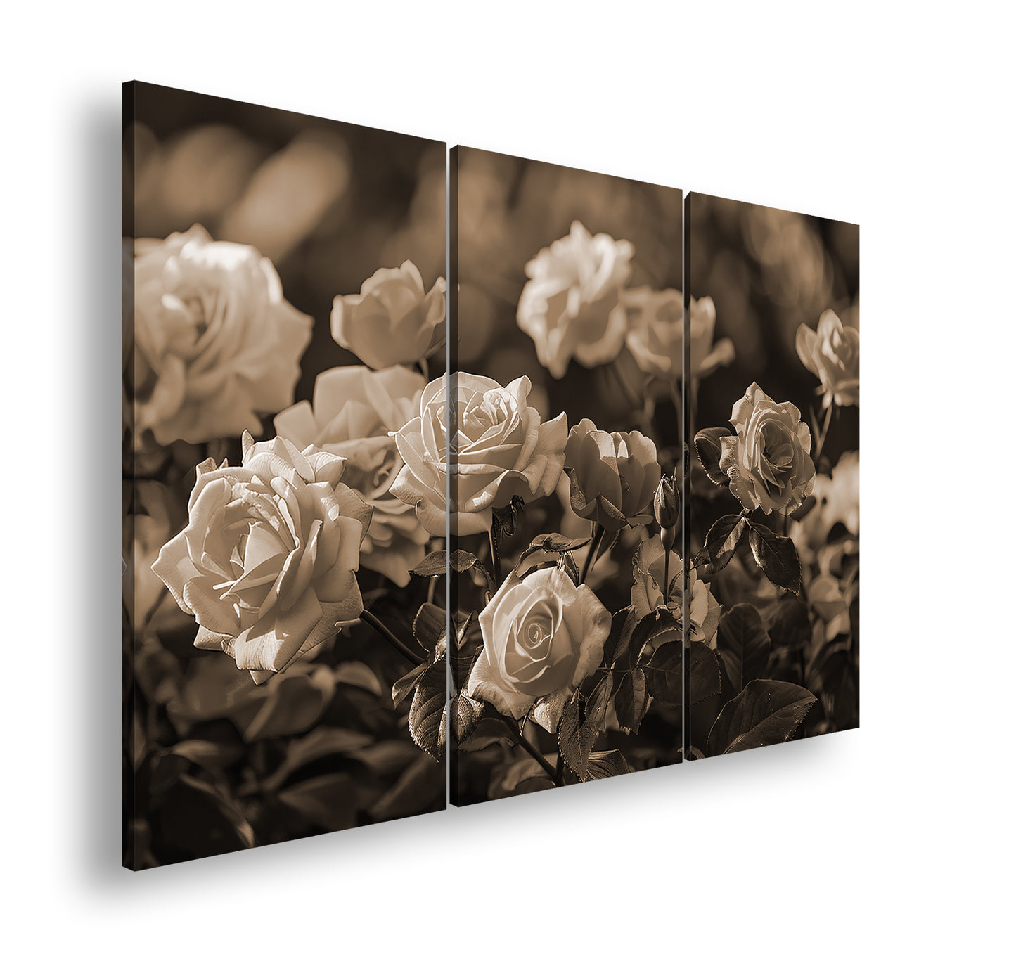 Hauptbild Sepia 3 Teilig