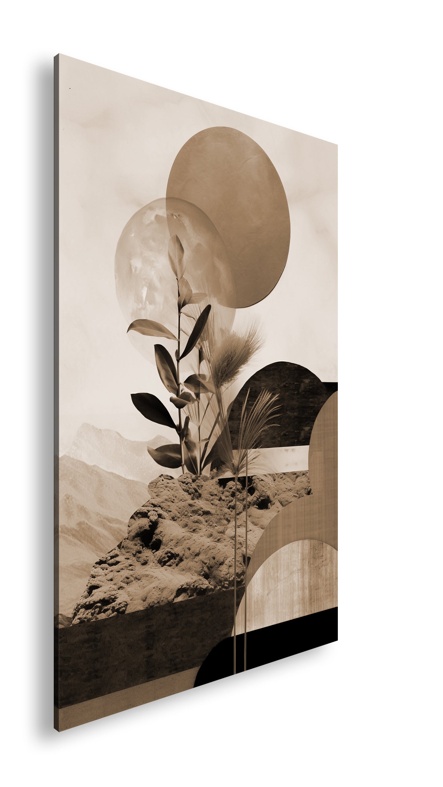 Hauptbild Sepia Standart