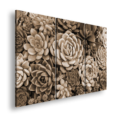 Hauptbild Sepia 3 Teilig