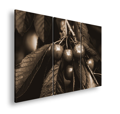 Hauptbild Sepia 3 Teilig