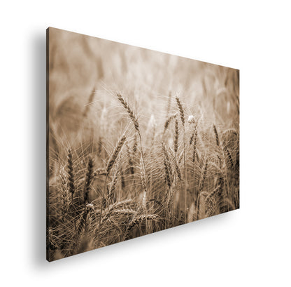 Hauptbild Sepia Standart